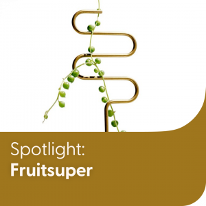 spotlight-launcher-fruitsuper